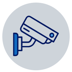 Surveillance Audits